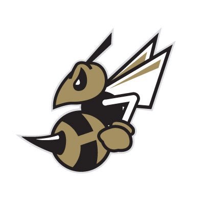 HenryvilleHornet2